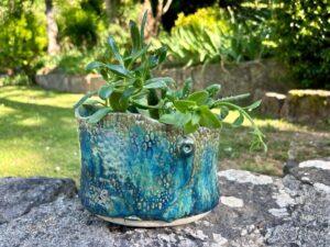 Textured dragonfly planter by Lynne Spaight